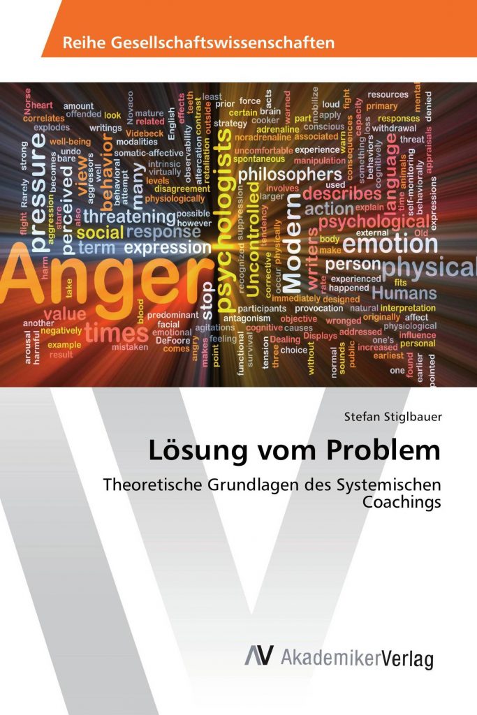 Buch-Cover Stefan Stiglbauer: Die Lösung vom Problem
